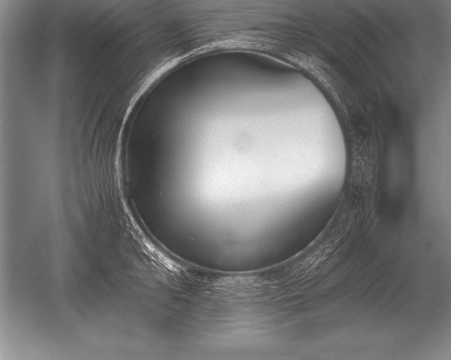 X0000052610902200507081843