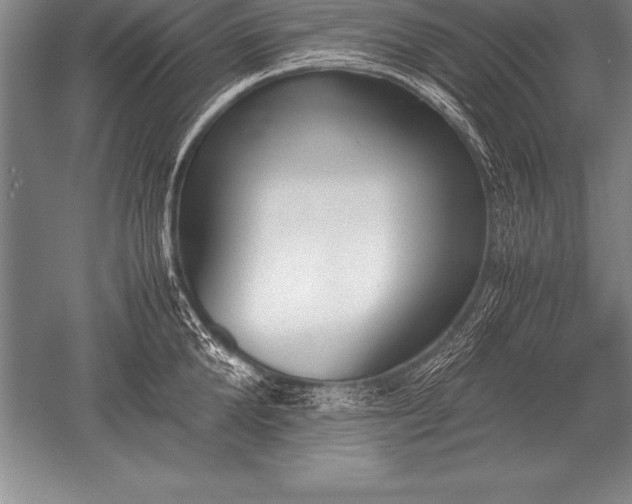 X0000052610904200507081843