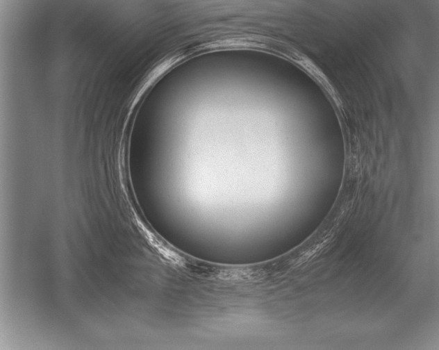 X0000052610909200507081843