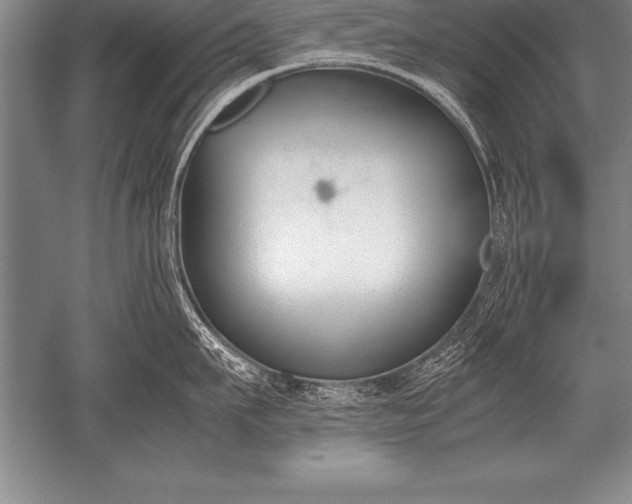 X0000052610911200507081843