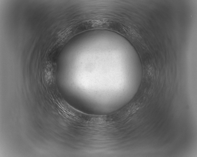 X0000052610914200507081842