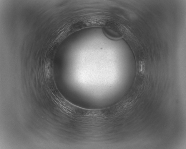 X0000052610915200507081842