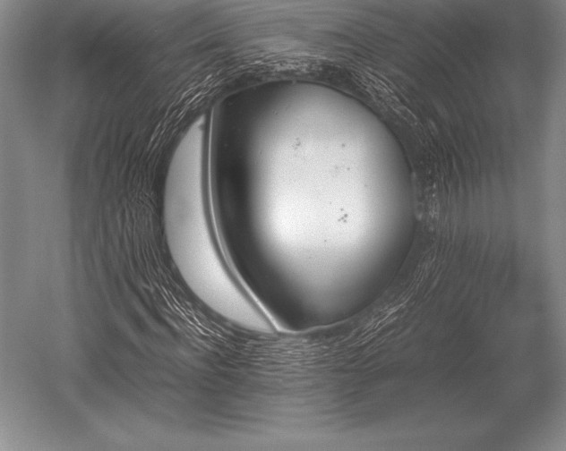 X0000052610916200507081842