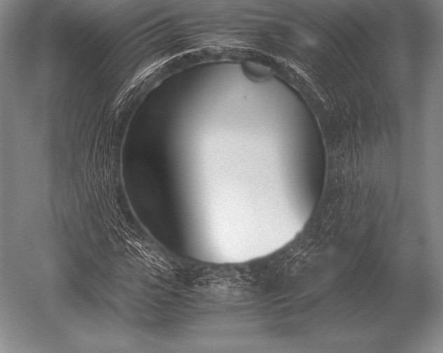 X0000052610919200507081842