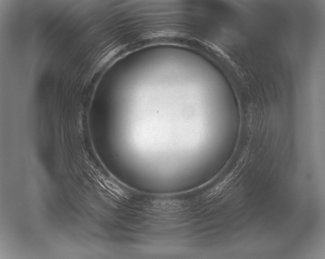 X0000052610921200507081842