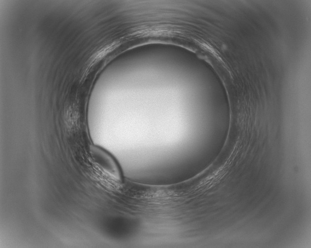 X0000052610922200507081842