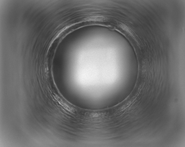 X0000052610923200507081842