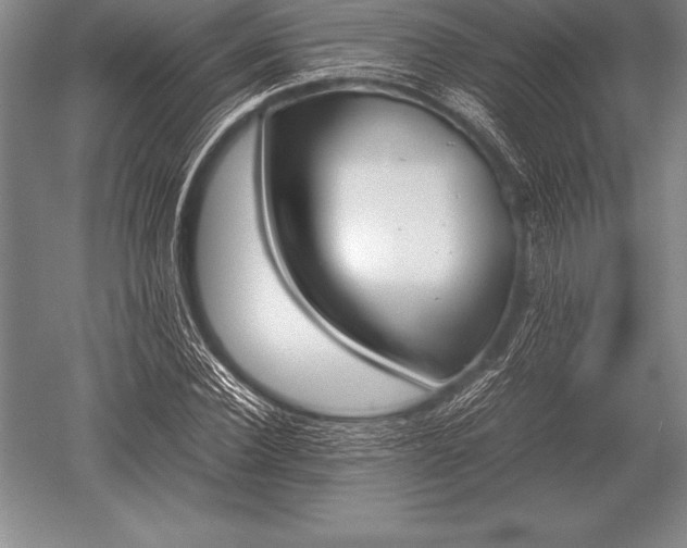 X0000052610924200507081842