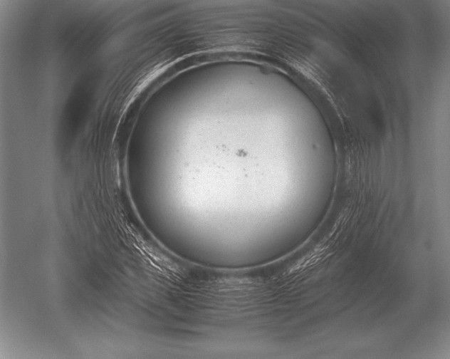 X0000052610925200507081842