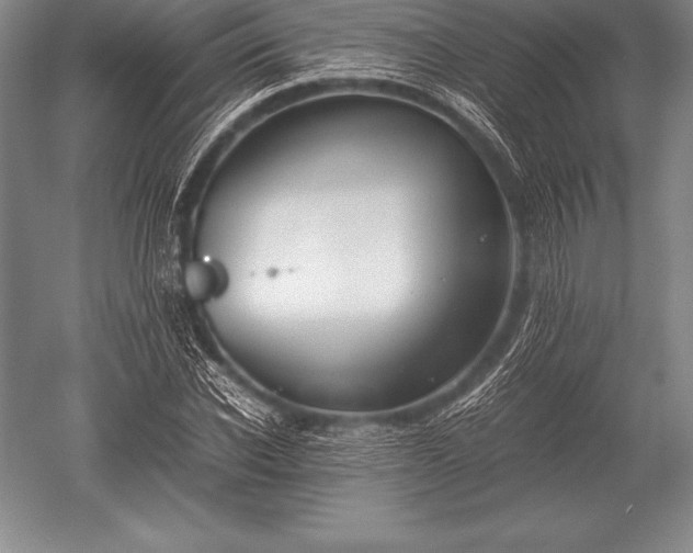 X0000052610926200507081842