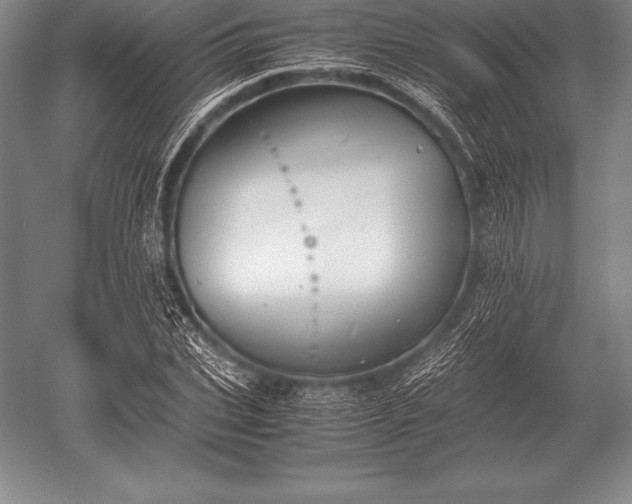 X0000052610927200507081842