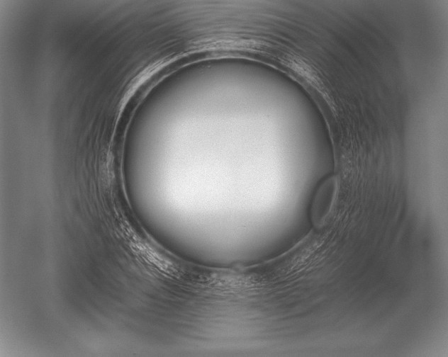 X0000052610928200507081842