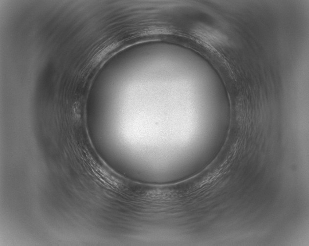 X0000052610929200507081842