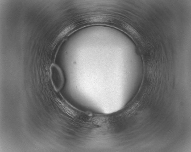 X0000052610930200507081842