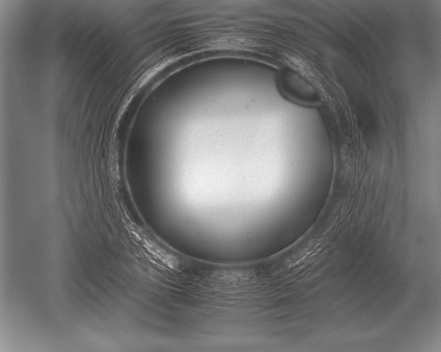 X0000052610931200507081842