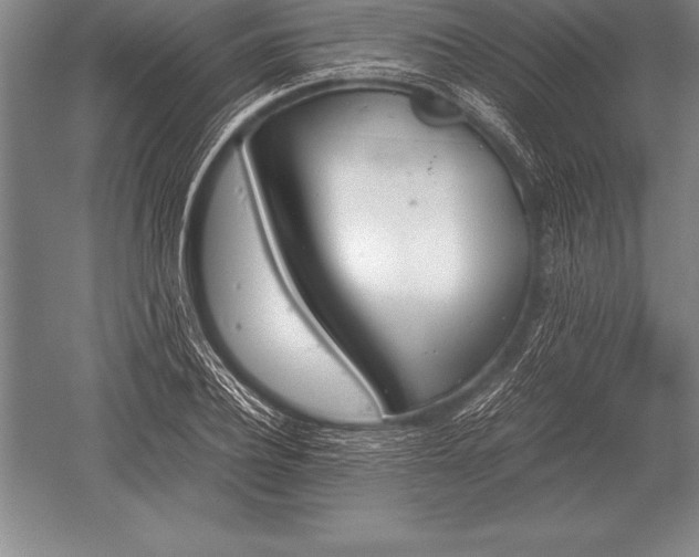 X0000052610932200507081842