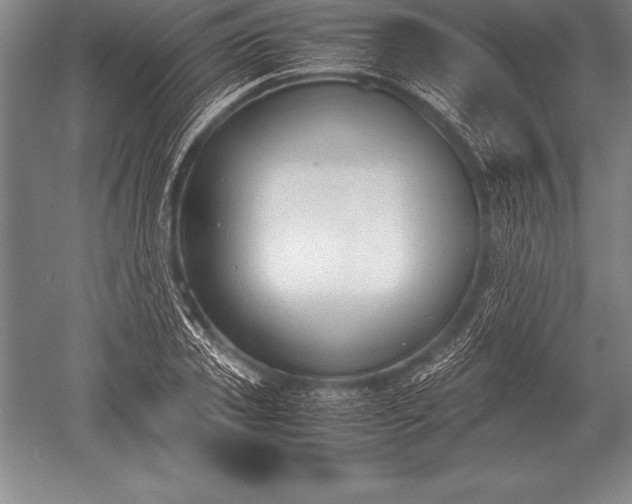 X0000052610933200507081842