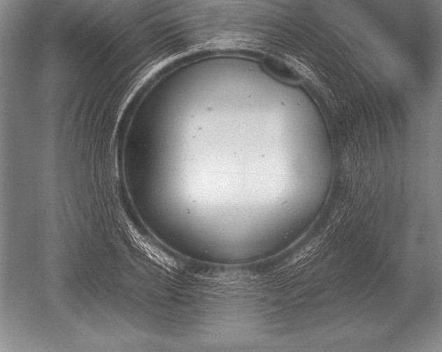 X0000052610934200507081842