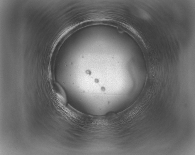 X0000052610935200507081842