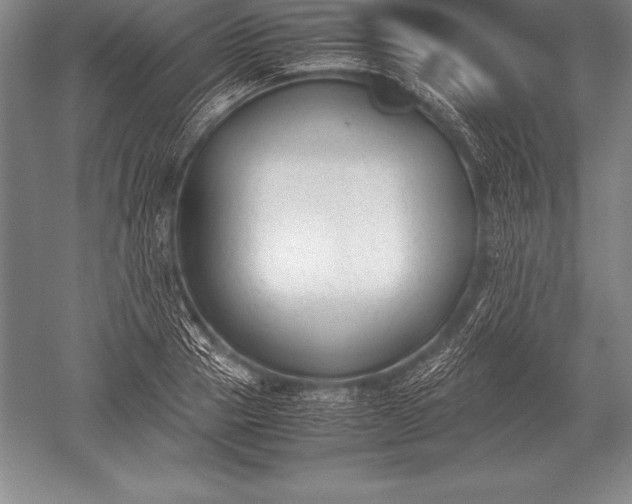 X0000052610937200507081843