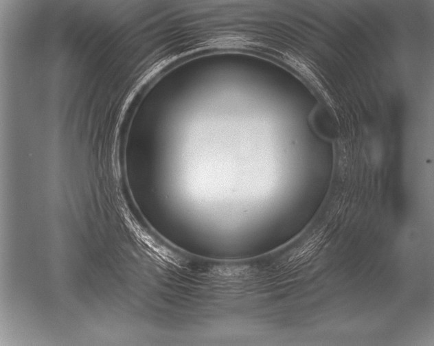 X0000052610939200507081843