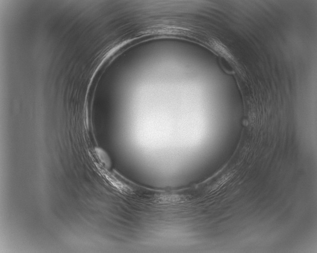 X0000052610940200507081843