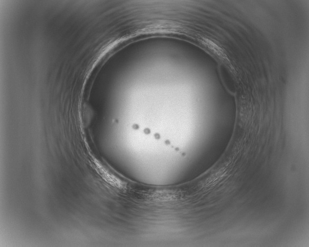 X0000052610942200507081843