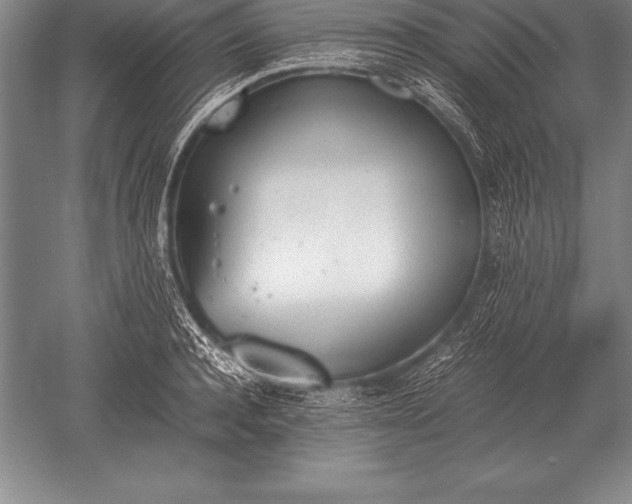 X0000052610944200507081843