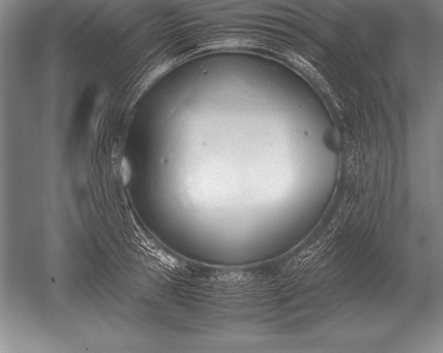 X0000052610945200507081843