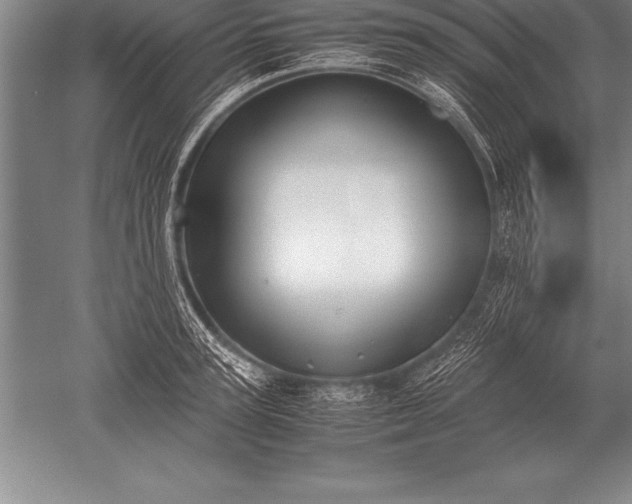 X0000052610947200507081843