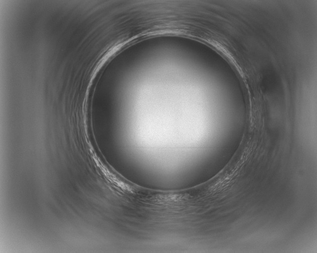 X0000052610949200507081843