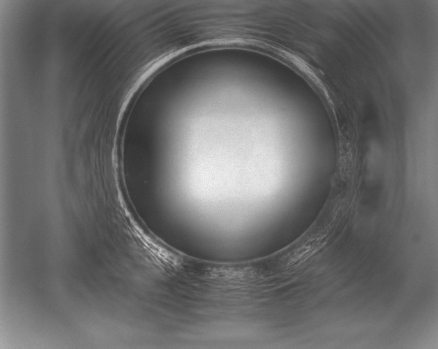 X0000052610951200507081843