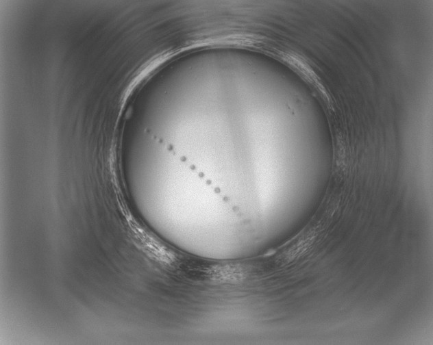 X0000052610952200507081843