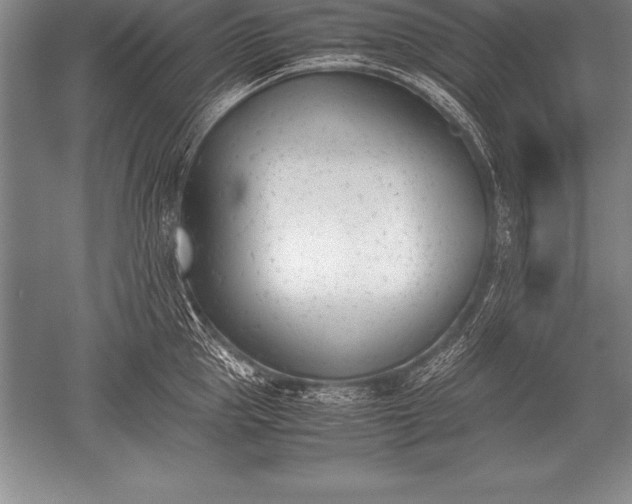 X0000052610953200507081843