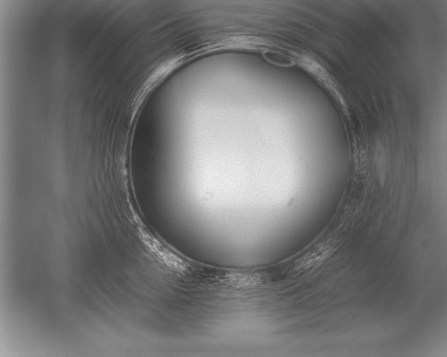 X0000052610954200507081843