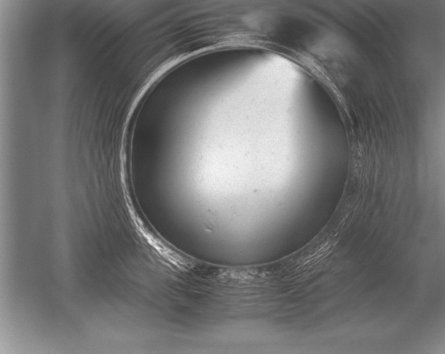 X0000052610955200507081843