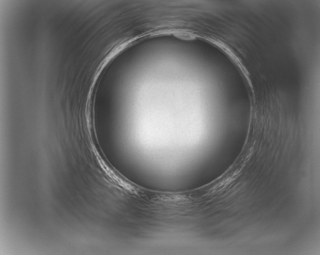 X0000052610957200507081843