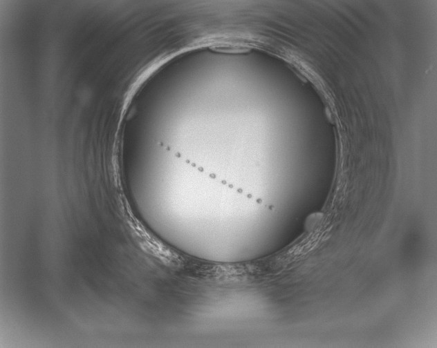 X0000052610960200507081843