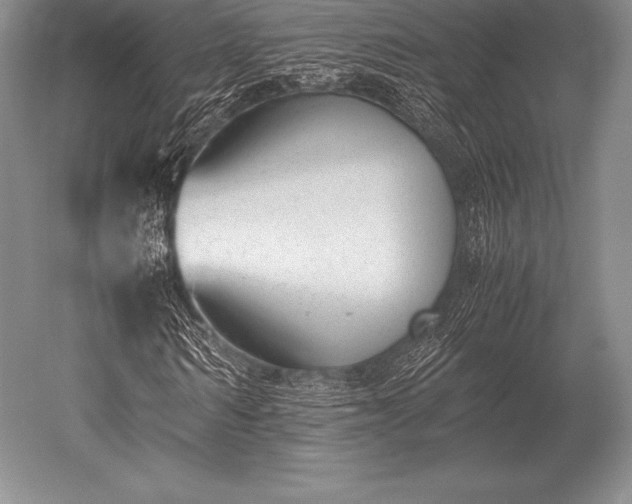 X0000052610962200507081842