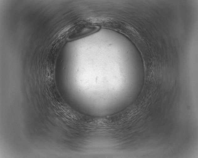 X0000052610966200507081842