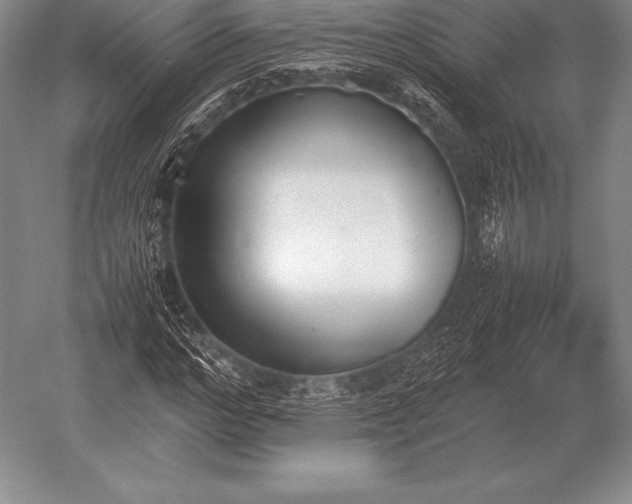 X0000052610968200507081842