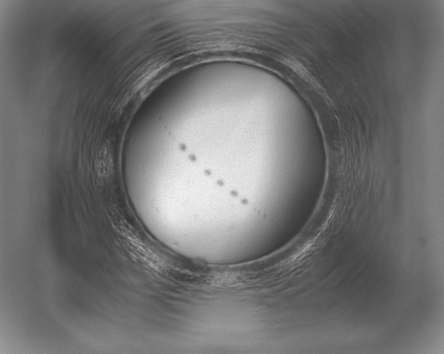 X0000052610969200507081842