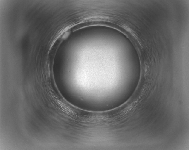 X0000052610973200507081842