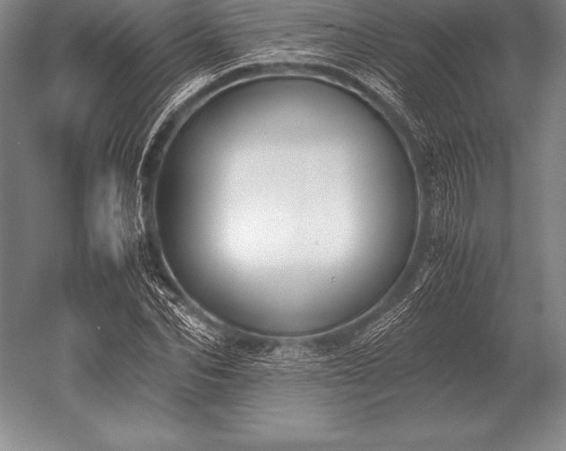 X0000052610974200507081842