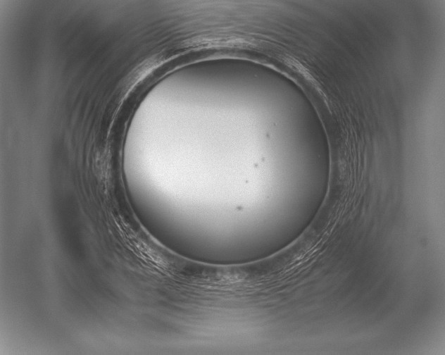 X0000052610975200507081842