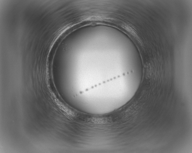 X0000052610976200507081842