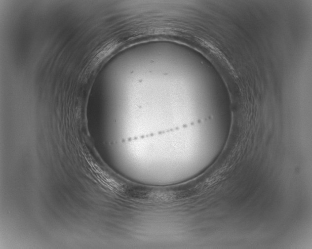 X0000052610977200507081842