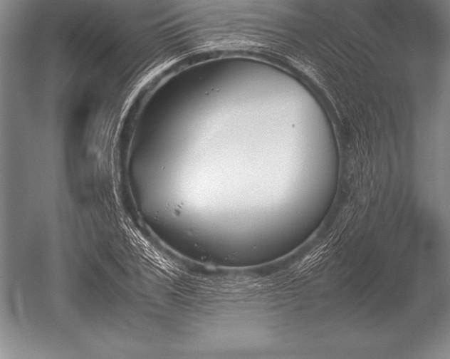 X0000052610979200507081842