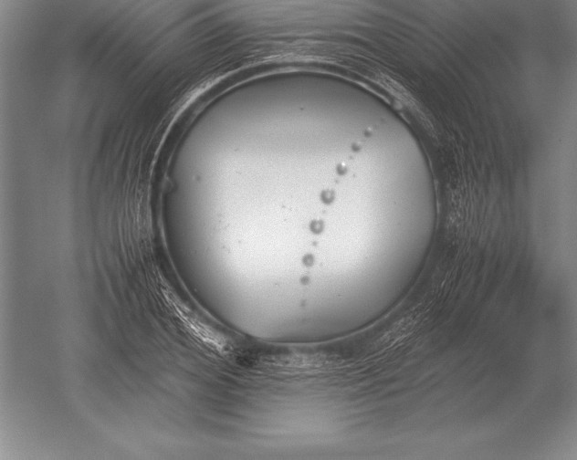 X0000052610980200507081842