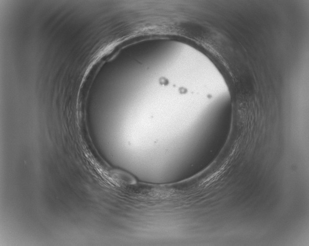 X0000052610981200507081842